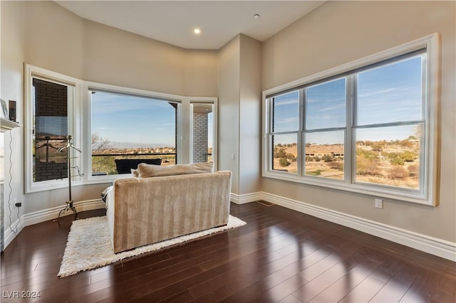 interior space featuring dark hardwood / wood-style floors