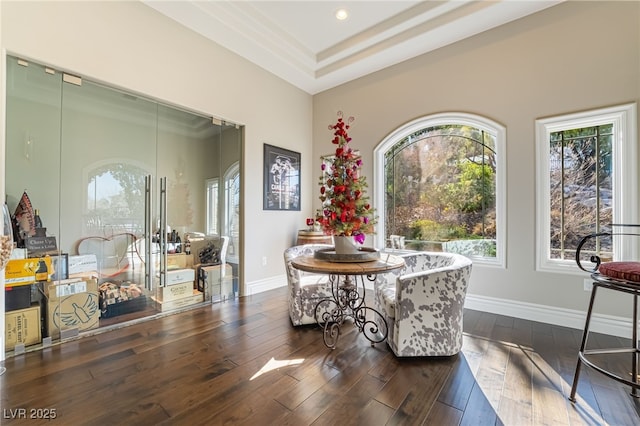 dining room with a tray ceiling and dark wood-type flooring