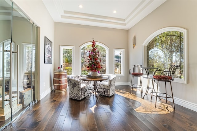 dining room featuring dark wood-type flooring and a raised ceiling