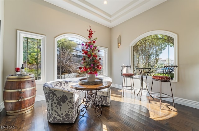 dining room with a healthy amount of sunlight and dark wood-type flooring