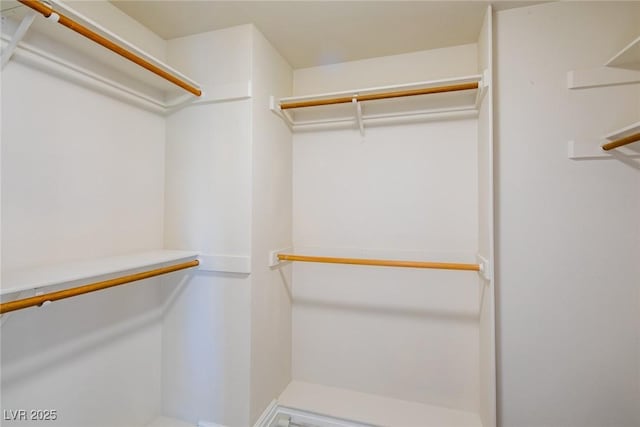 view of spacious closet