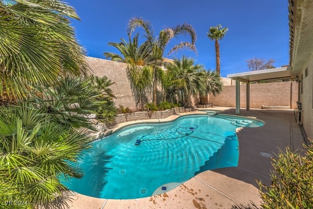 view of swimming pool with a diving board and a patio area