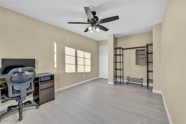 office space with light hardwood / wood-style flooring and ceiling fan