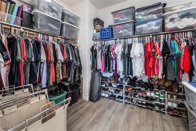 spacious closet featuring wood-type flooring