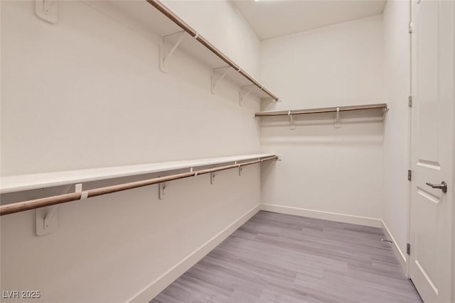 spacious closet with light wood-type flooring