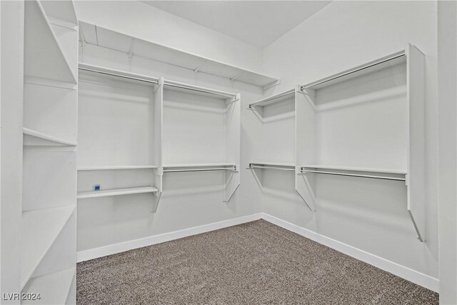 walk in closet with carpet