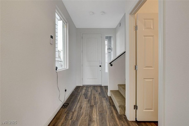 interior space featuring dark hardwood / wood-style flooring