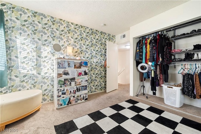 bedroom featuring carpet flooring, a textured ceiling, and a closet