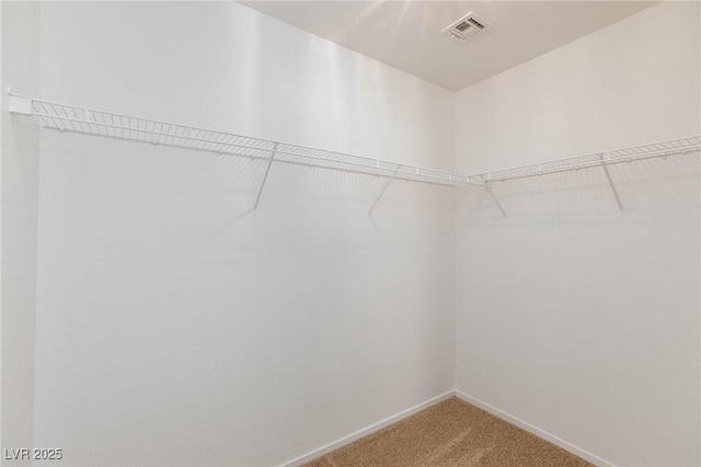 spacious closet with carpet flooring