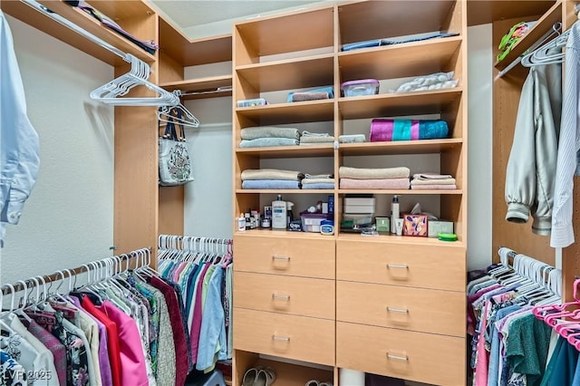 view of spacious closet