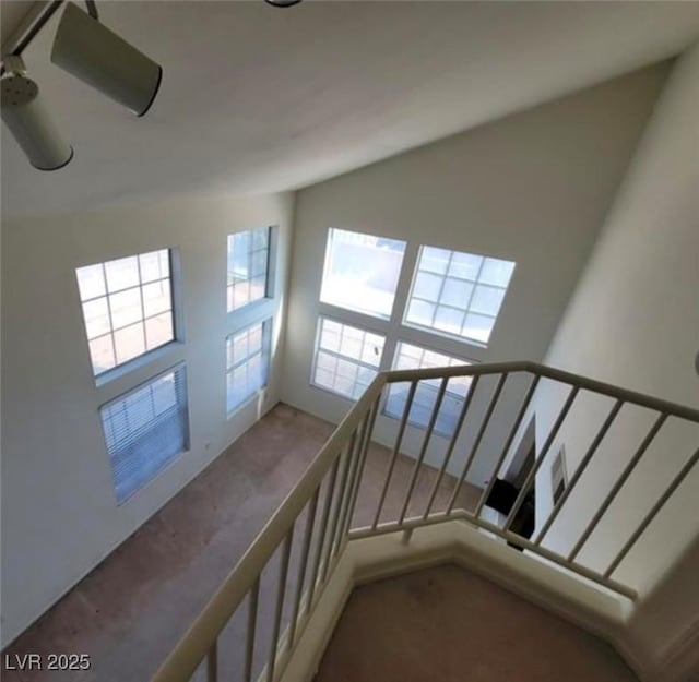 staircase featuring carpet floors