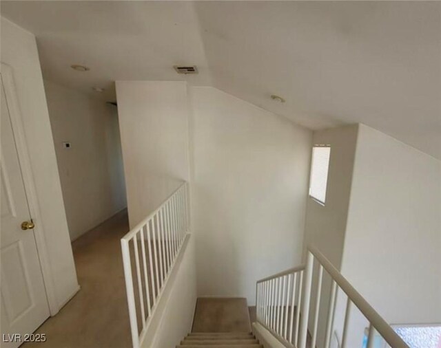 staircase featuring carpet and vaulted ceiling