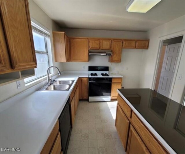 kitchen with gas range gas stove, sink, and dishwasher