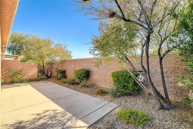 view of yard with a patio