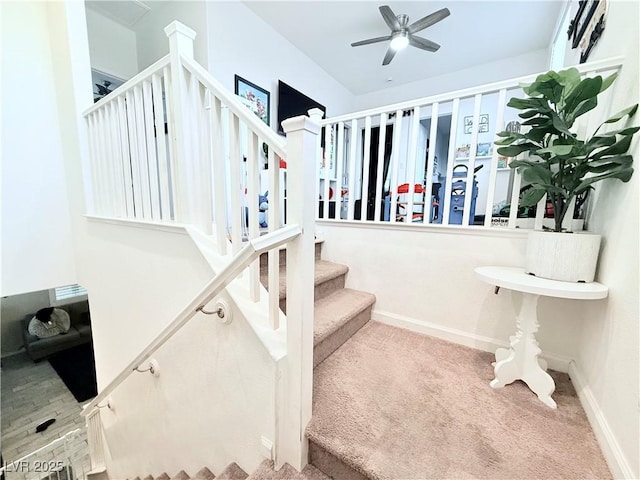 staircase featuring ceiling fan and carpet flooring