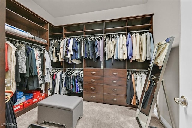 spacious closet featuring light colored carpet