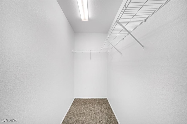 spacious closet featuring carpet flooring