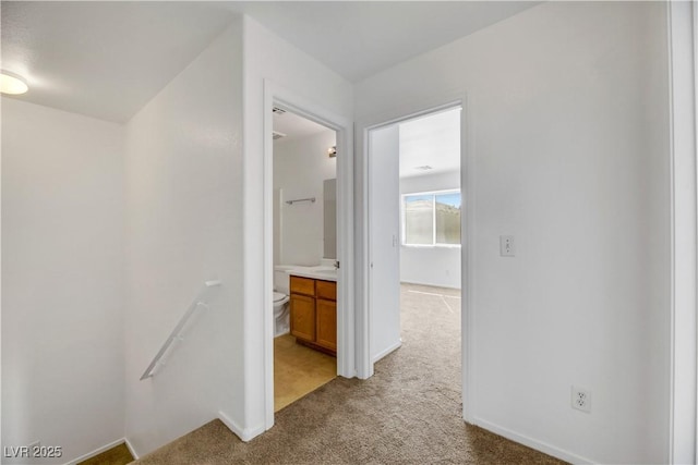 hallway featuring carpet flooring