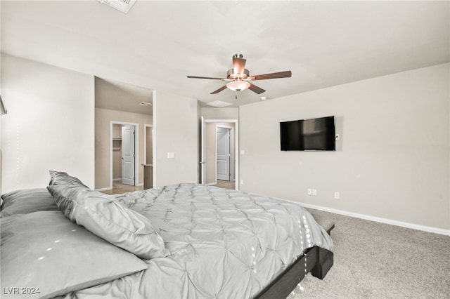 carpeted bedroom featuring ceiling fan, a walk in closet, and a closet