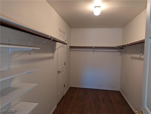 spacious closet with dark hardwood / wood-style flooring