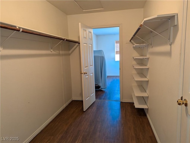 walk in closet with dark wood-type flooring