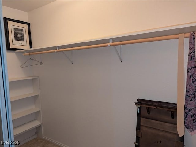 view of walk in closet