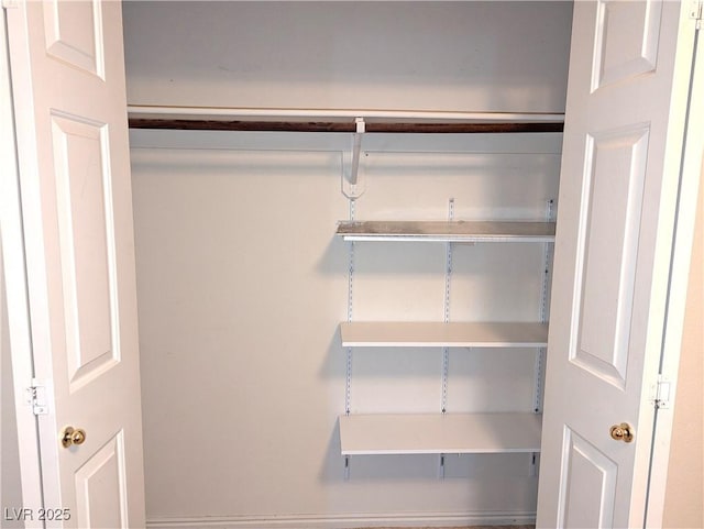 view of closet