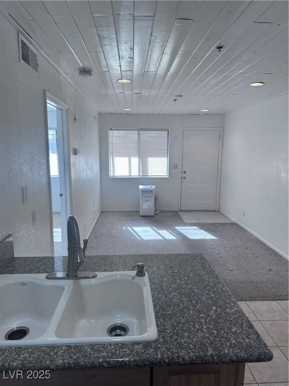 kitchen with light colored carpet and sink