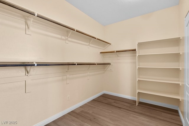 spacious closet featuring hardwood / wood-style floors