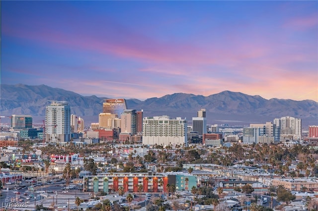 property's view of city with a mountain view