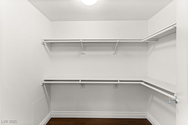 walk in closet with dark hardwood / wood-style floors