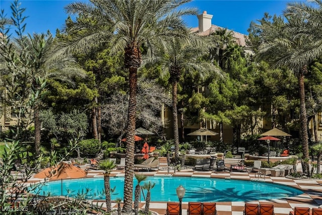 pool with a patio area and a diving board