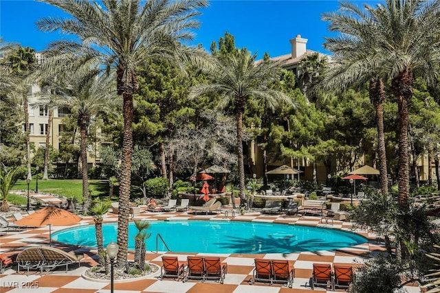 pool with a patio area