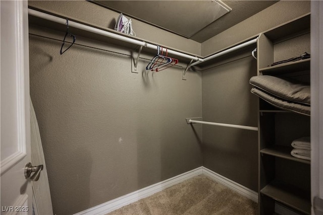 spacious closet featuring carpet