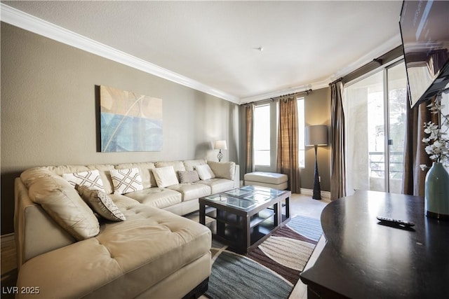 living room with ornamental molding