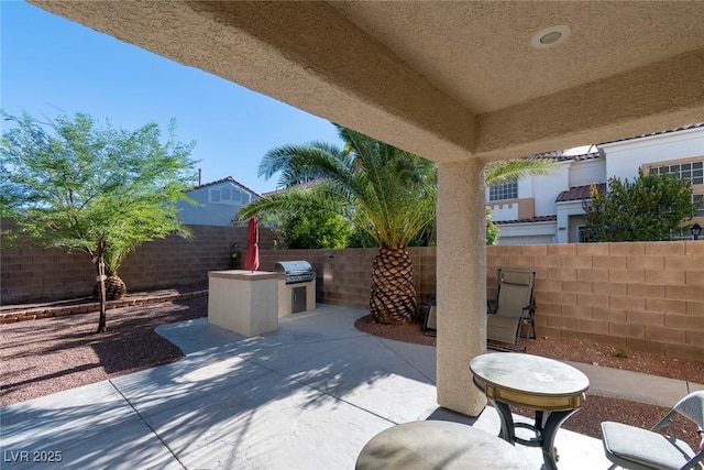 view of patio / terrace with grilling area and an outdoor kitchen