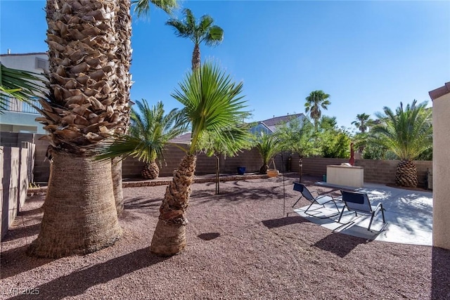 view of yard featuring a patio area