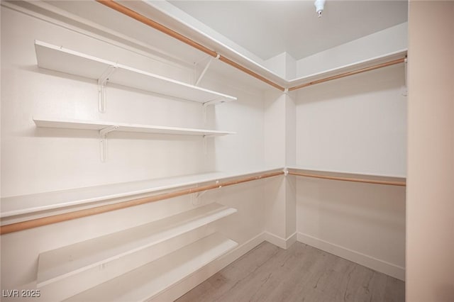 walk in closet featuring light hardwood / wood-style flooring