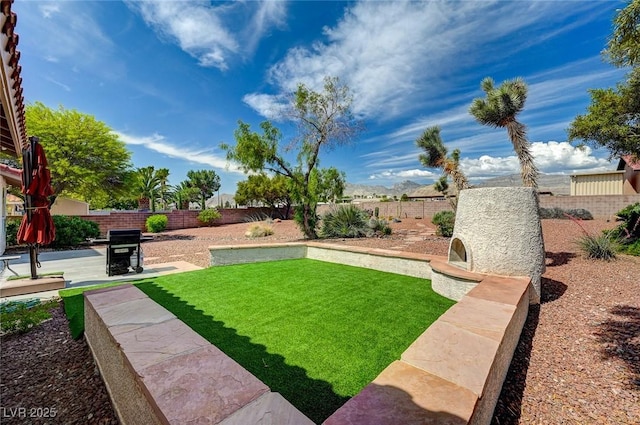 view of yard with a patio area