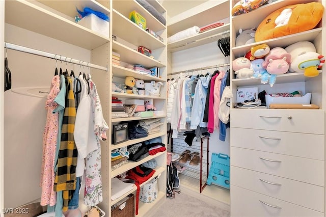 spacious closet with light carpet