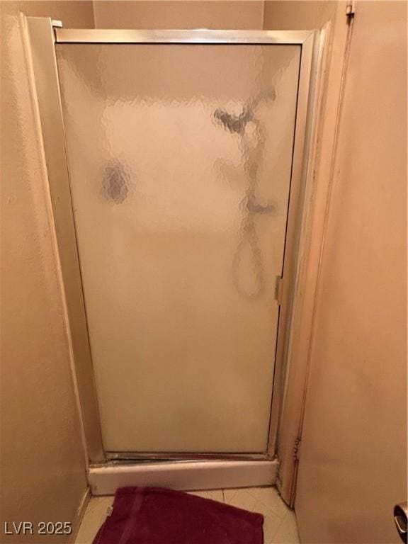 bathroom featuring a shower with shower door