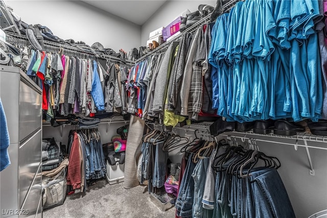 spacious closet with carpet floors