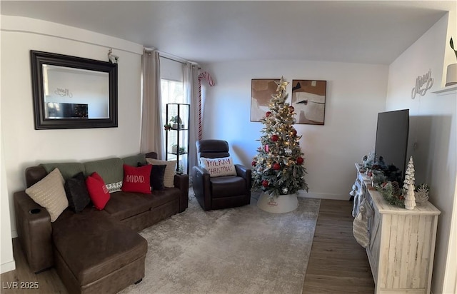 living room with hardwood / wood-style floors