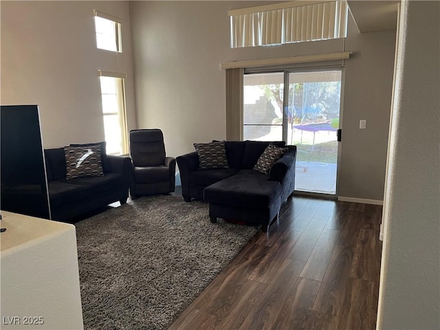 living room with a high ceiling and dark hardwood / wood-style flooring