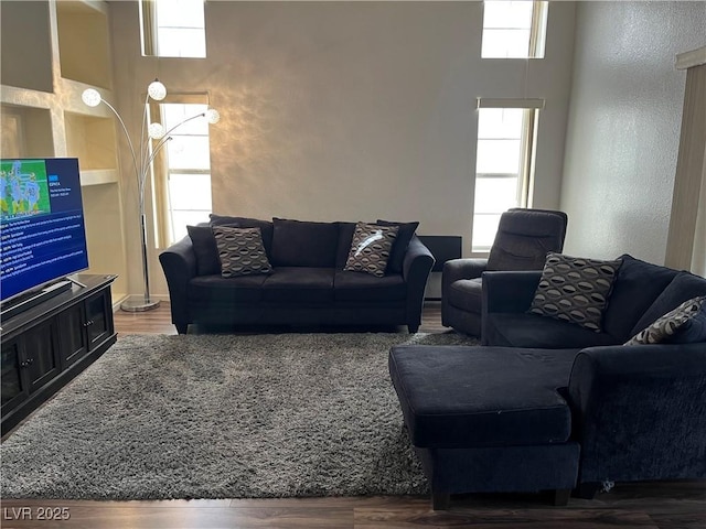 living room featuring hardwood / wood-style floors, a towering ceiling, and a wealth of natural light