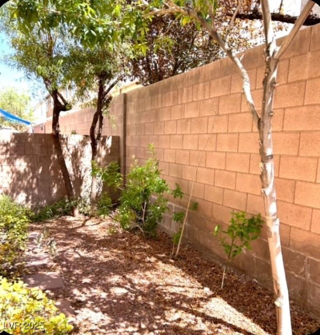3641 Via Terracina, Henderson, NV 89052 - photo 6