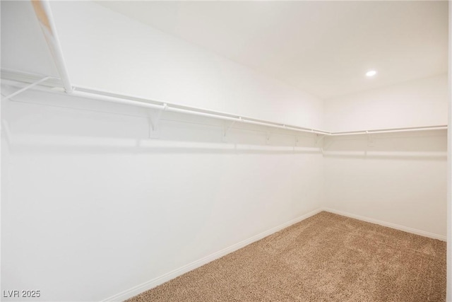 walk in closet with carpet flooring