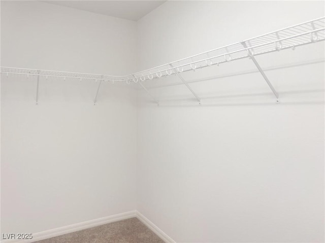 walk in closet featuring carpet