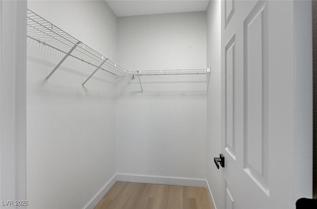 walk in closet featuring wood-type flooring