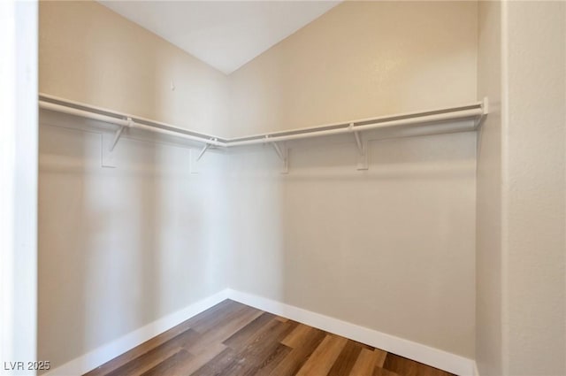 spacious closet with hardwood / wood-style flooring